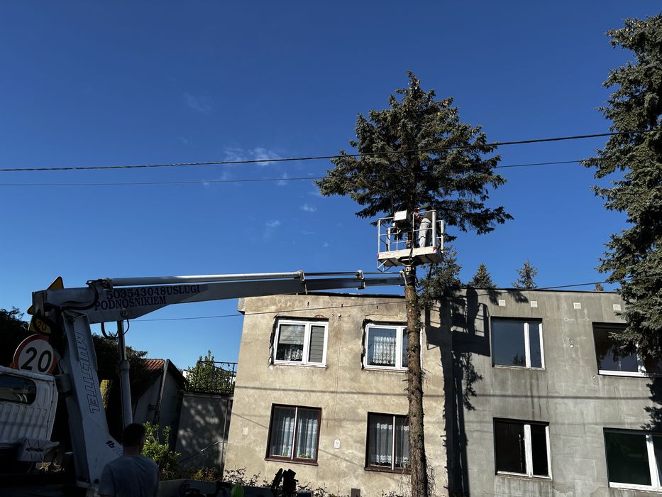 Usługi podnośnikiem koszowym (usługi dekarskie)