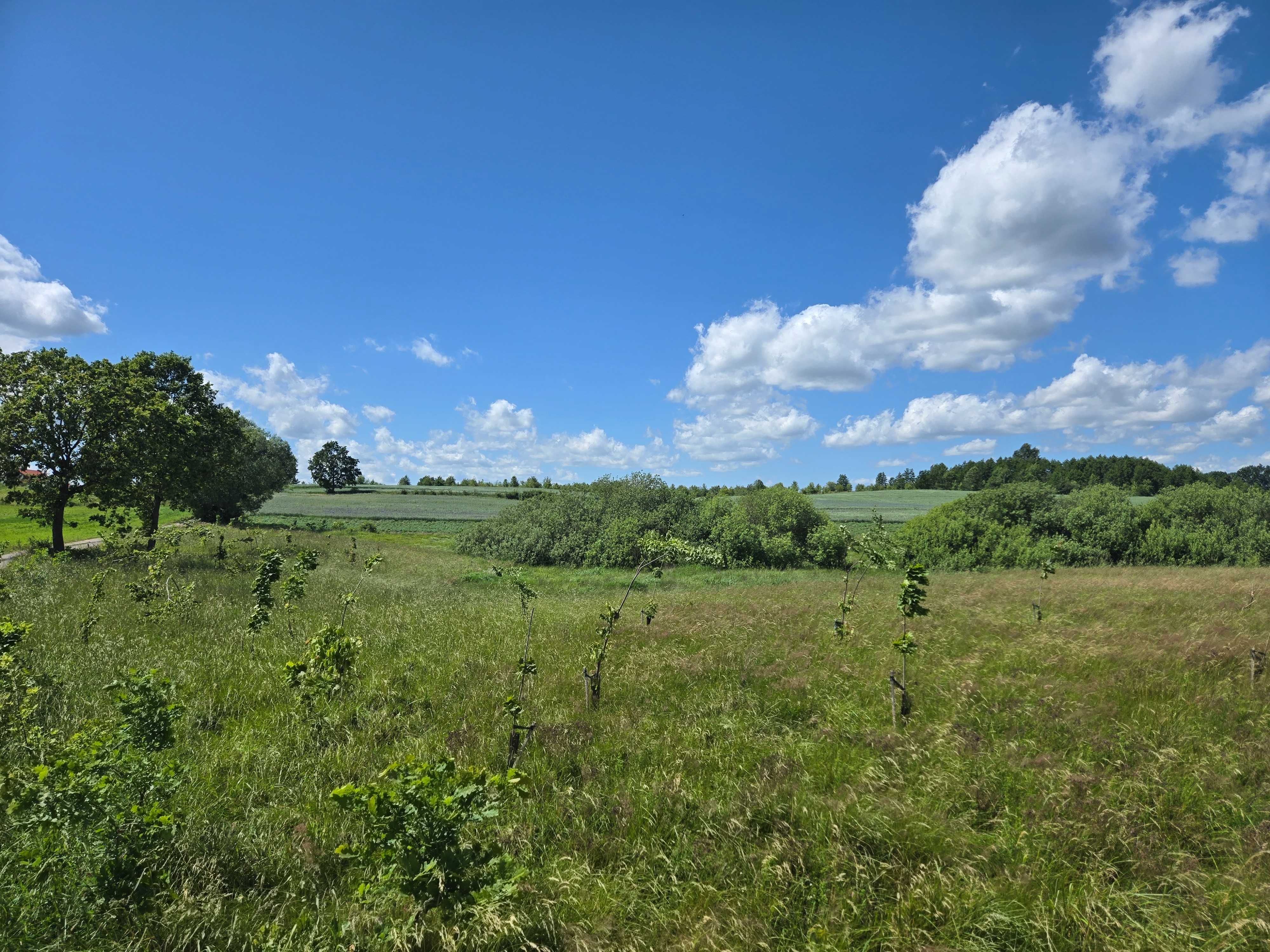 Działka rolno-budowlana z WZ 1.28ha Florczaki,5km od Kretowin