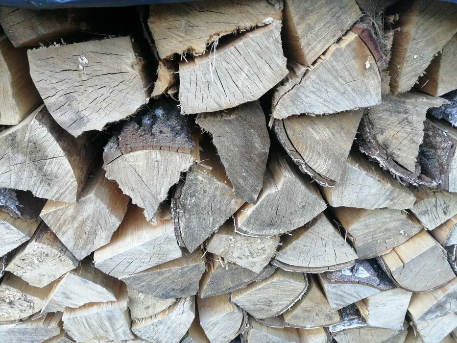 Atrakcyjne ceny sucha brzoza oraz sosna