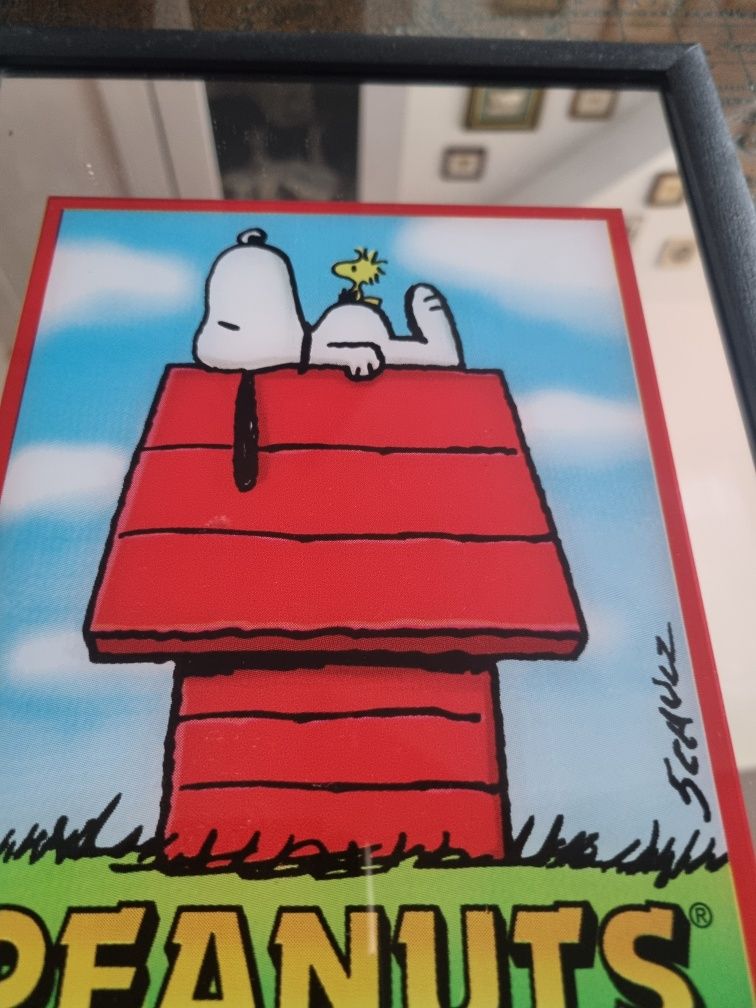 Obrazek/lusterko " Snoopy"
