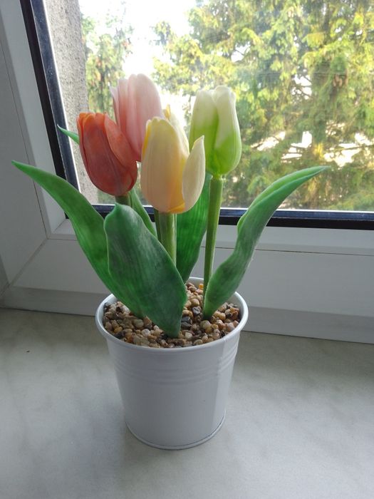 Kwiaty tulipany dekoracja w doniczce