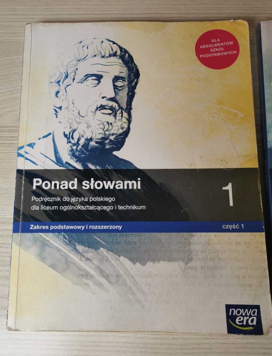 Polski i matematyka, klasa 1 LO i technikum