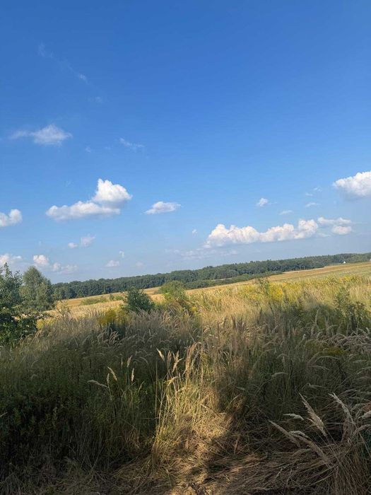 Strupina, skokowa - działka budowlana około 1000 metrów kwadratowych