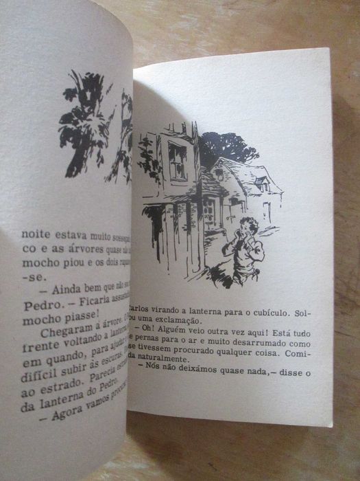 Os Sete e a Marca Vermelha, de Enid Blyton