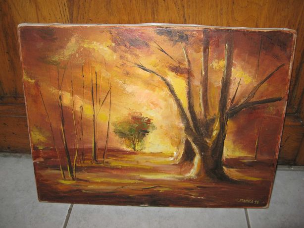 Obraz las drzewa jesień leśny pomarańczowy żółty