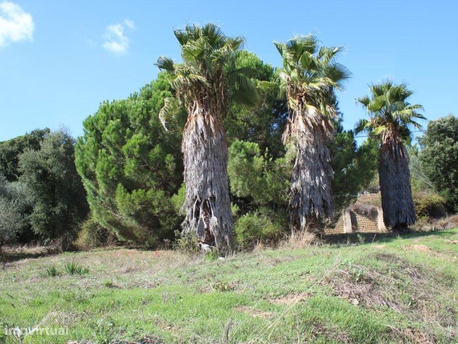 Lote para construção de moradia em Arruda dos Pisões