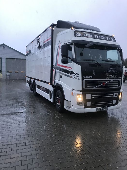 Samochód do przewozu zwierząt Volvo FH 420