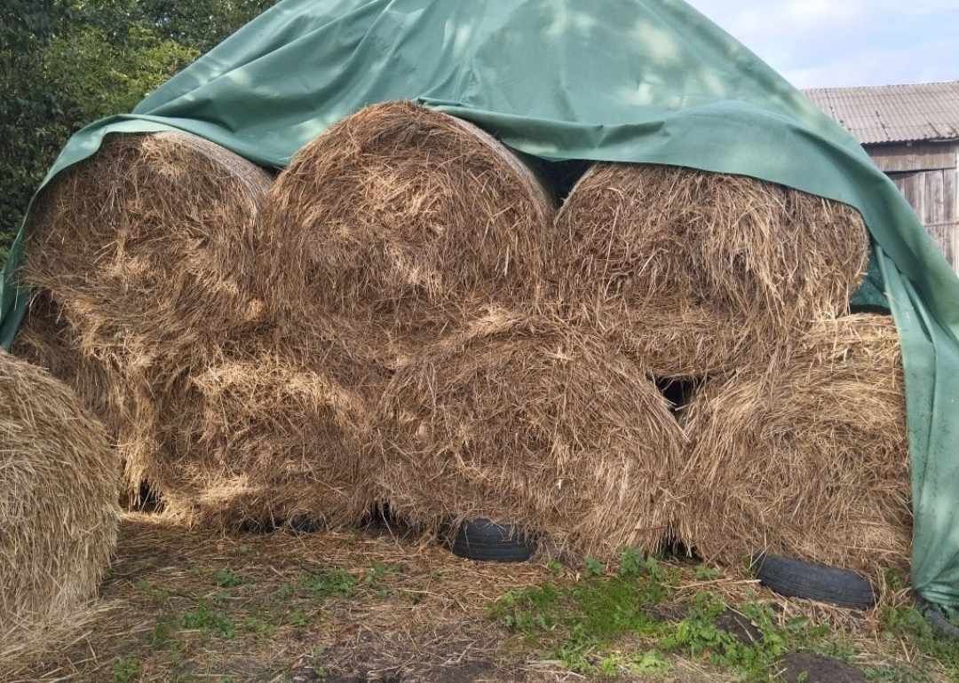 Sprzedam siano (bale 130)