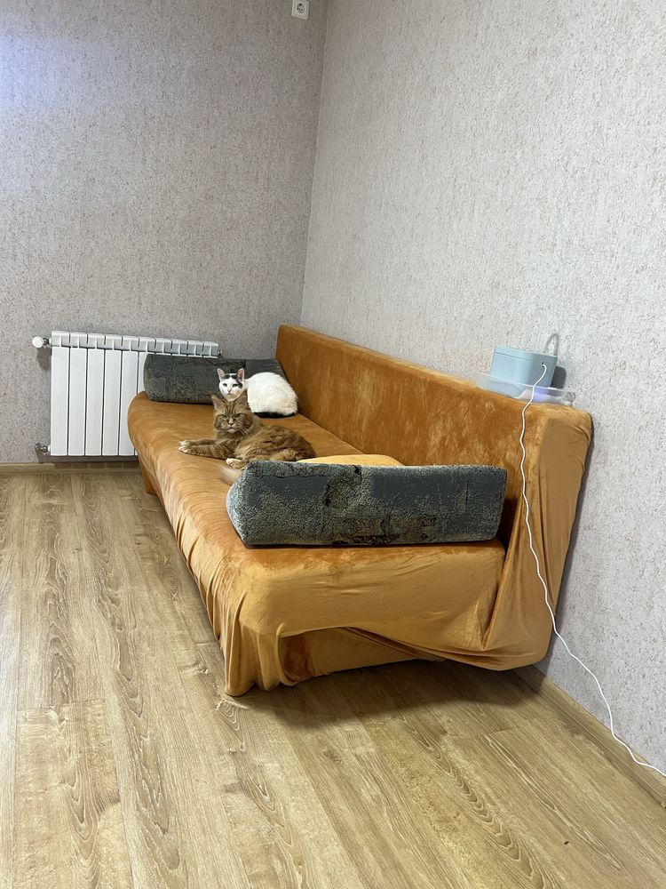 Диван безкоштовно