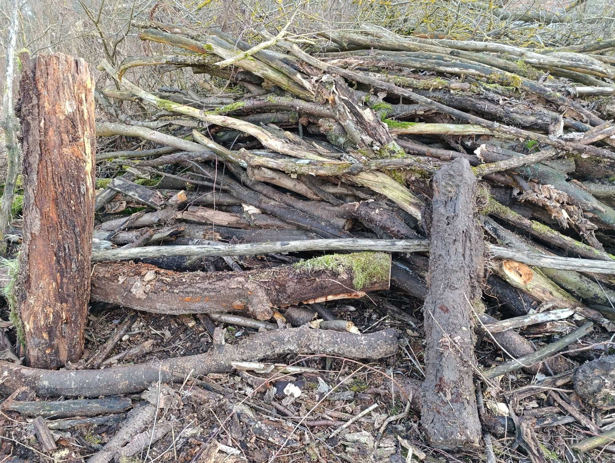 Drewno na opał, do kominka klon, orzech włoski