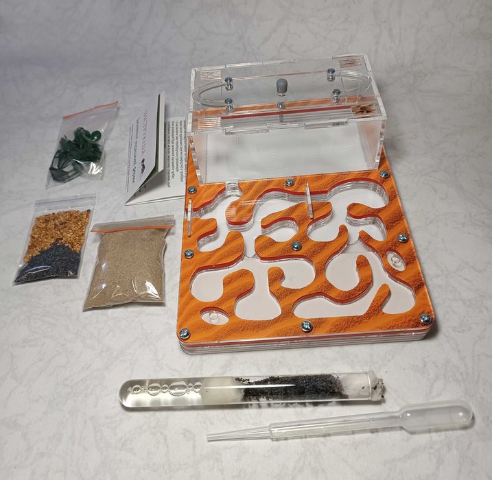 Мурашина ферма (формікарій) акрилова горизонтальна + мурахи. Комплект