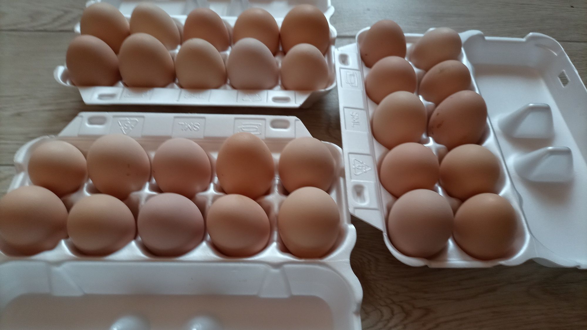 Jajka swojskie z wolnego wybiegu 100% bez koncentratów