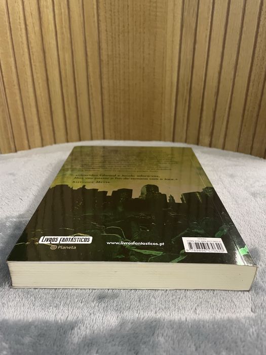 Livro a cidade das cinzas