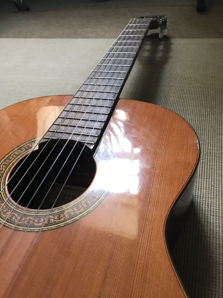 Guitarra Alhambra 3C