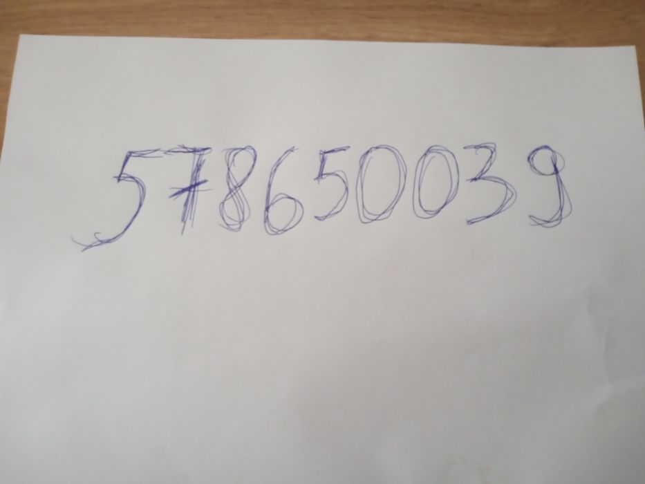 Bongos  djamba,  przywieziony z Tunezji