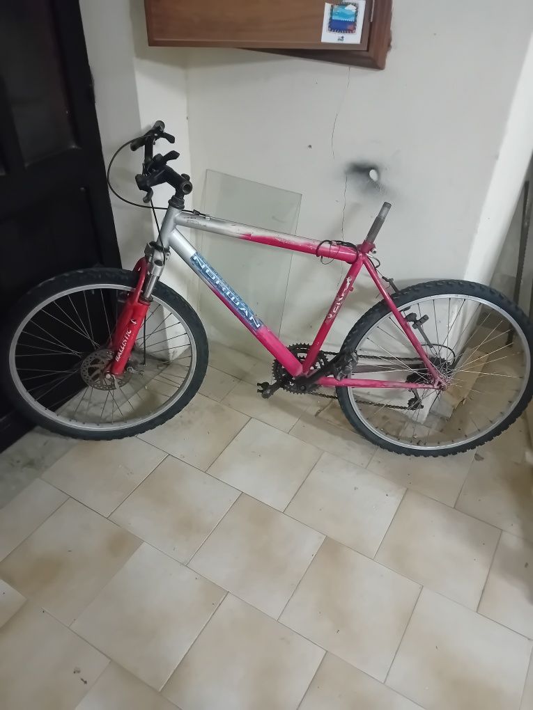 Bicicleta de Rapaz Roda 26