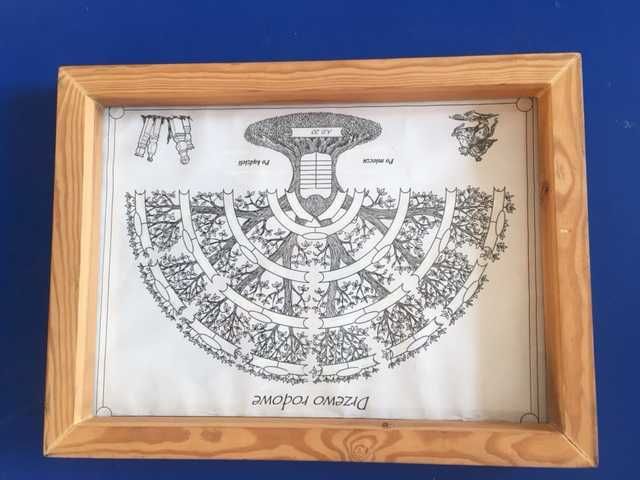 Drzewo rodowe, genealogiczne