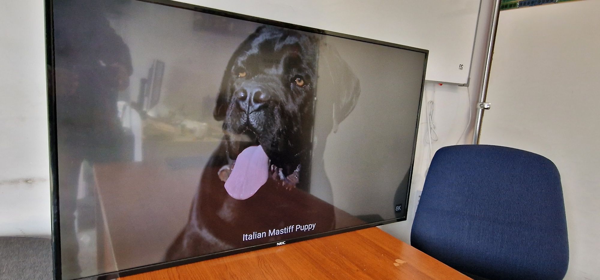Monitor ekran przemysłowy NEC 43"  E436, full hd