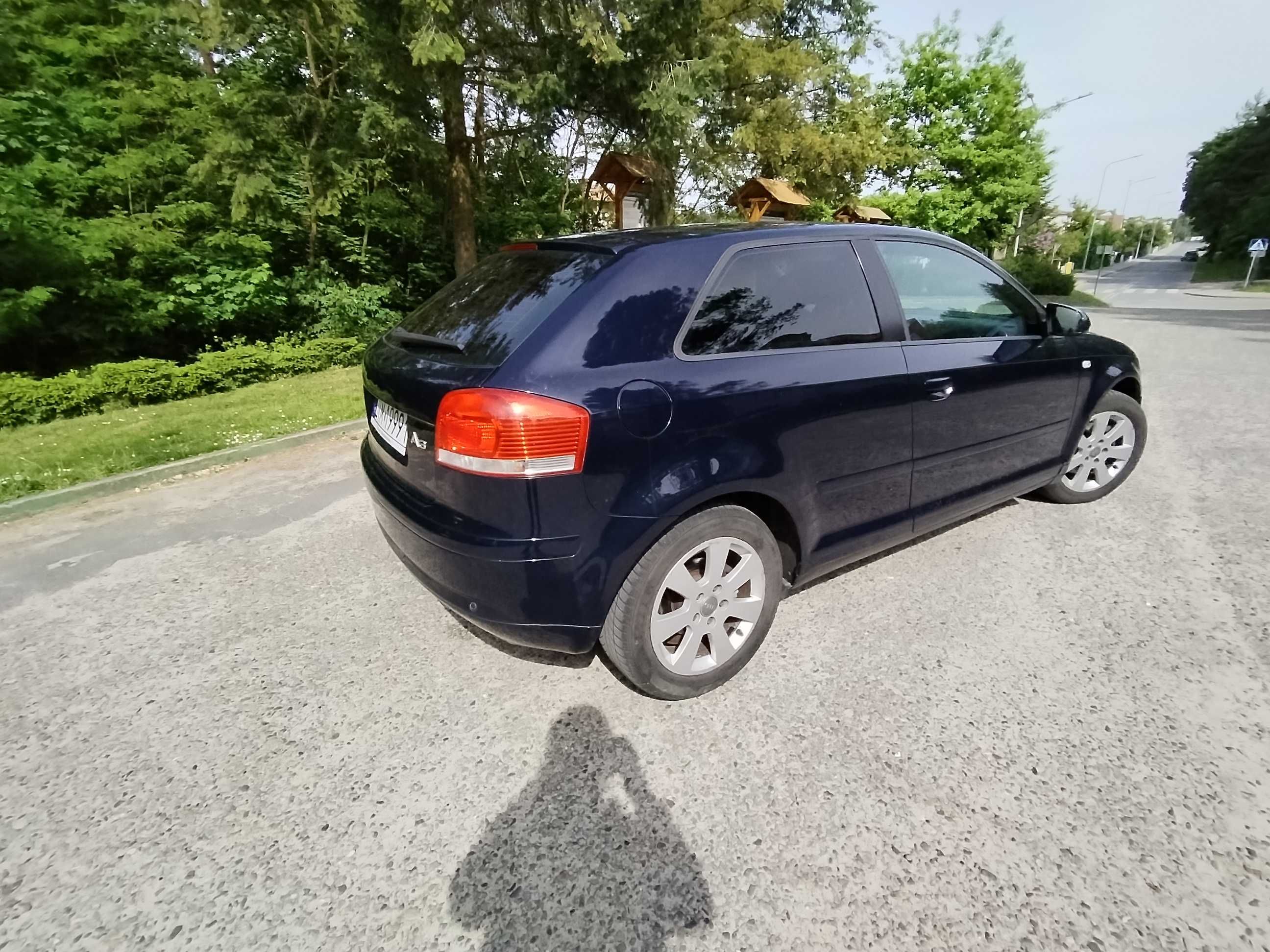 Audi A3 8P 2.0TDI