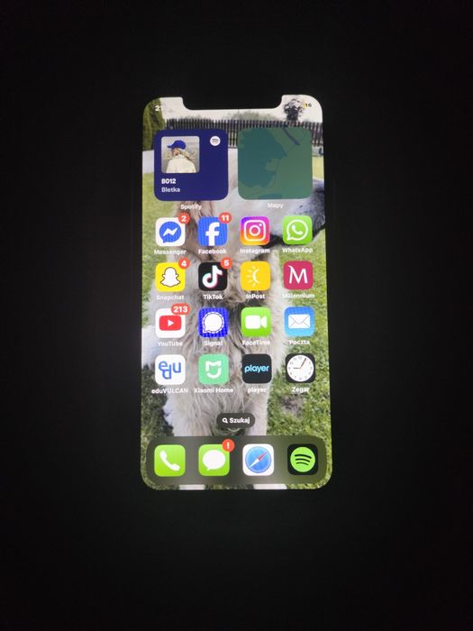 iPhone X 256 GB pamięci