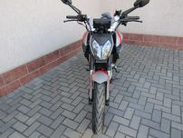 шинерей NITROX 300 2025р.