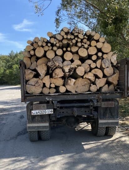 Продаж дров з доставкою