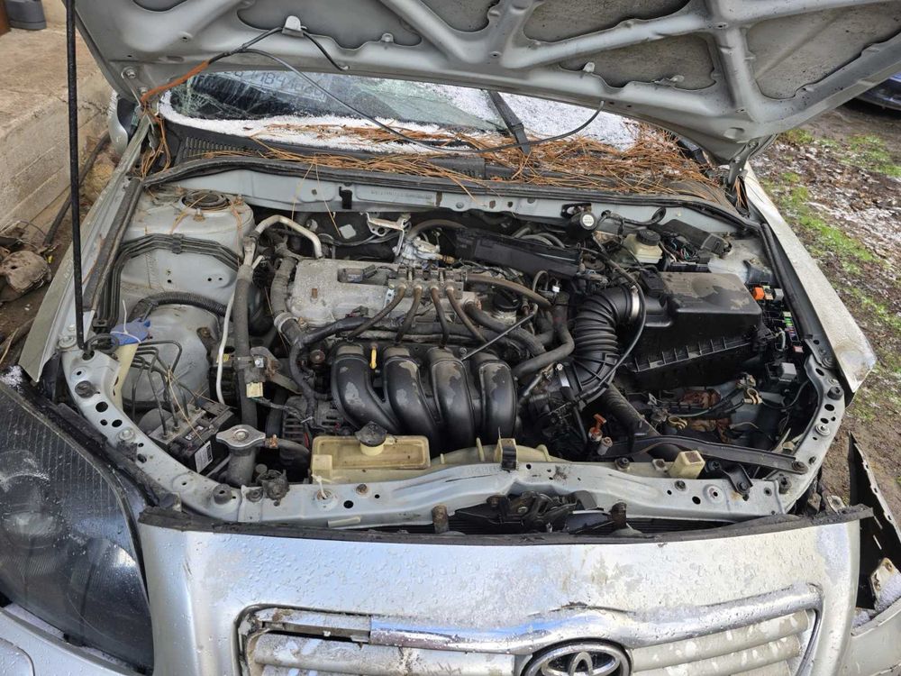 Шрот по запчастинах Тойота Авенсіс т25 1.8бенз
