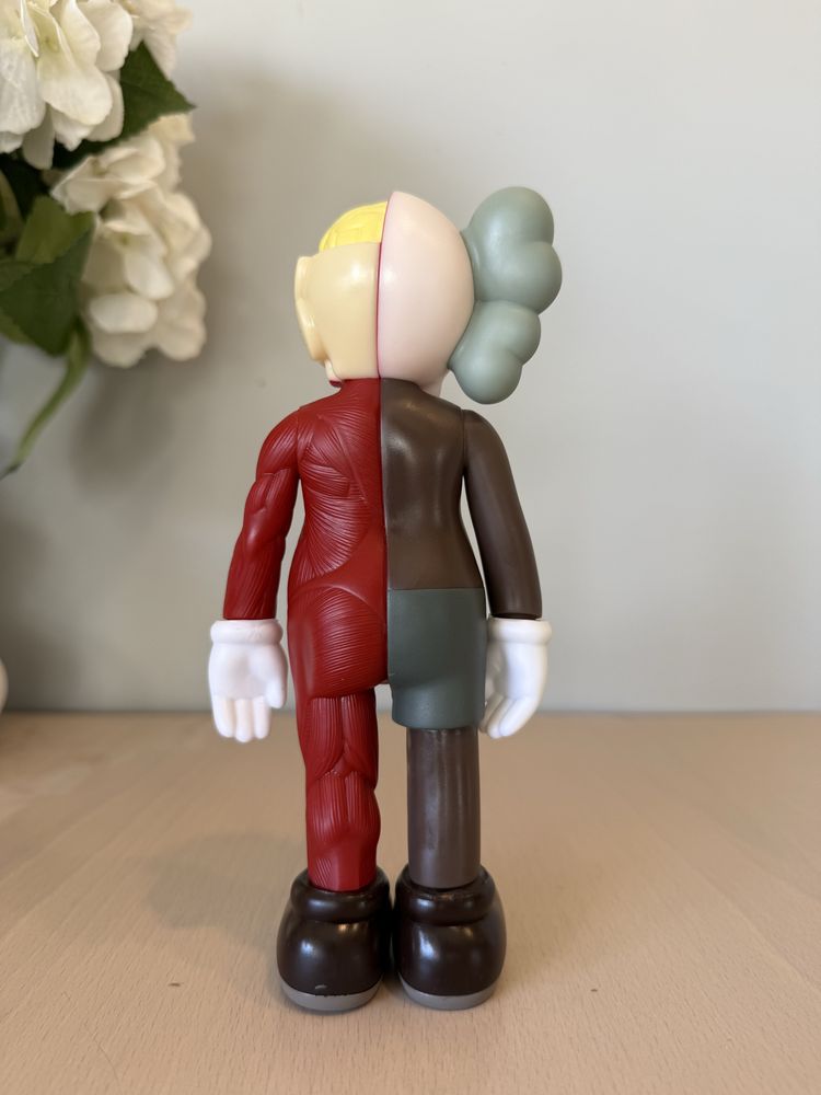 “ Kaws Anatomy “