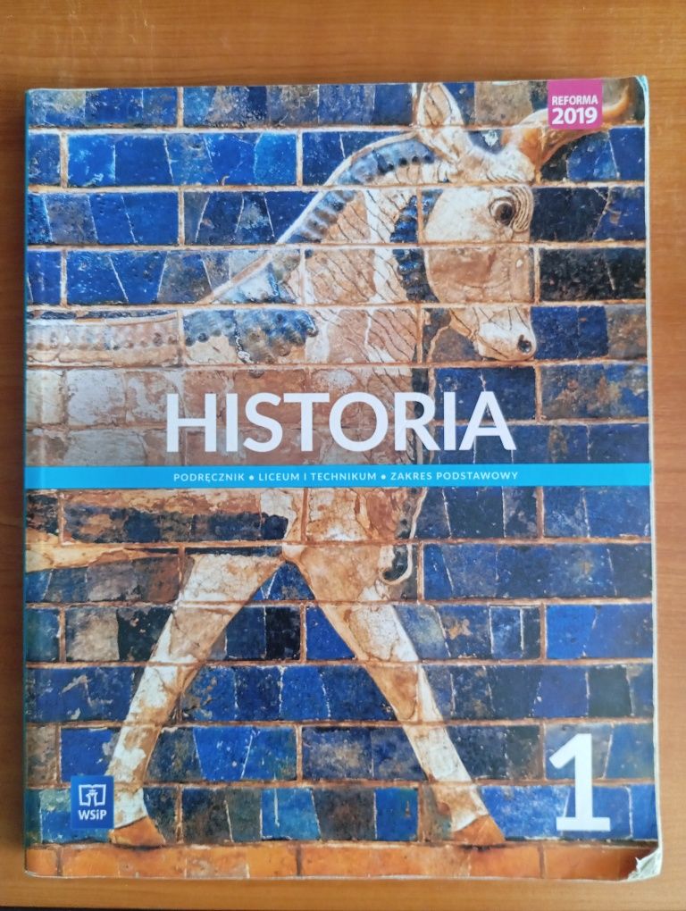 Historia 1 WSiP.