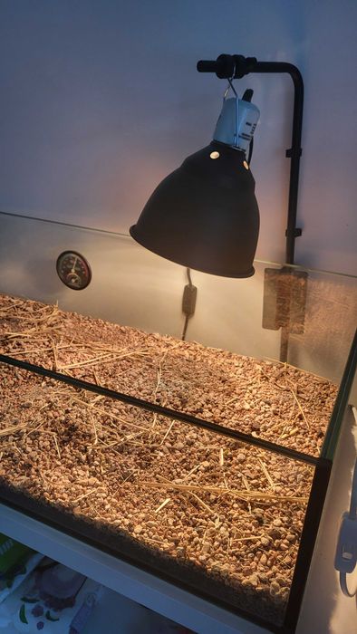 Terarium z lampą