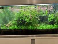 Akwarium Eheim Proxima 250