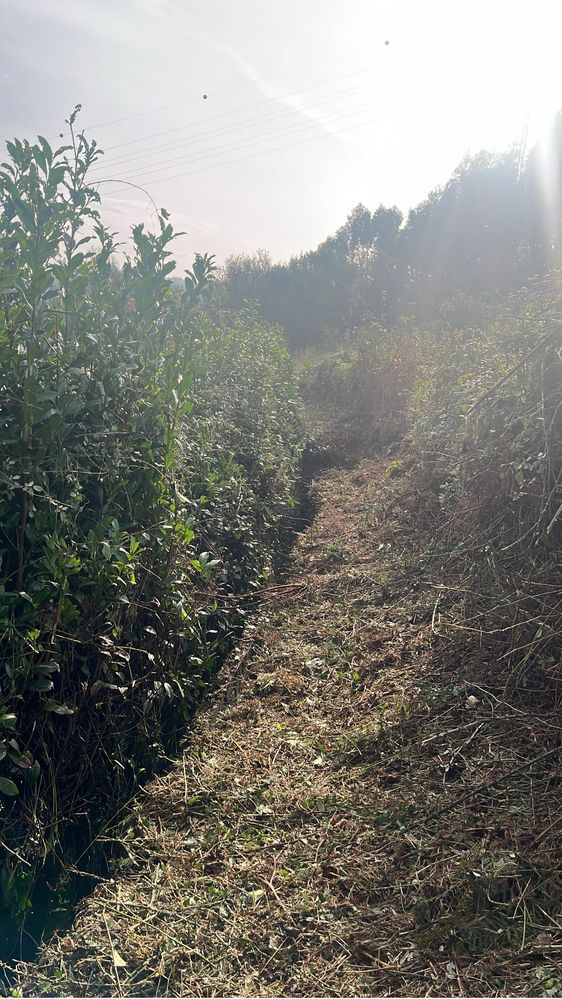 Limpezas de terrenos / desmatação e jardinagem