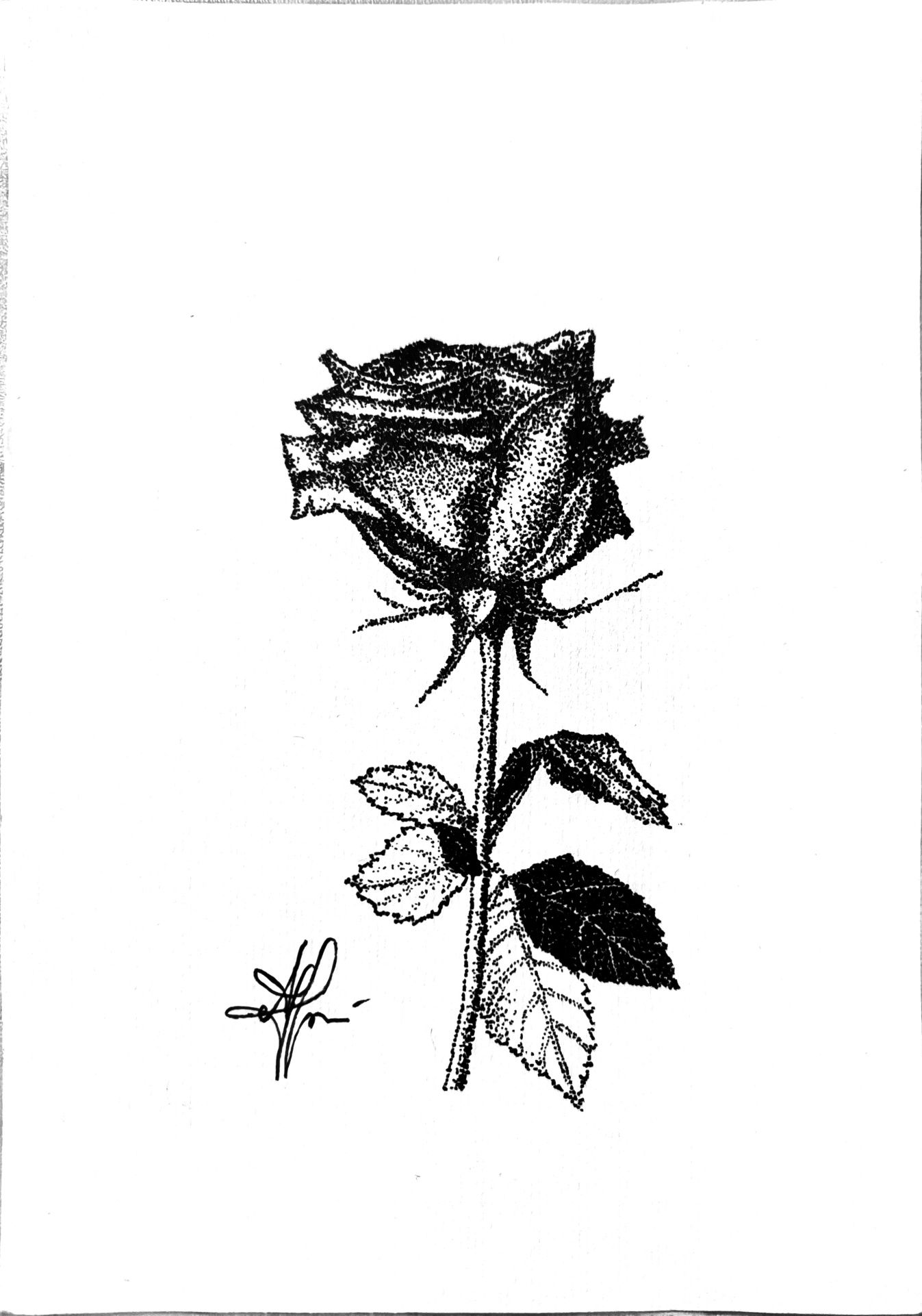 Картина точковим методом у рамці 13×18, троянда