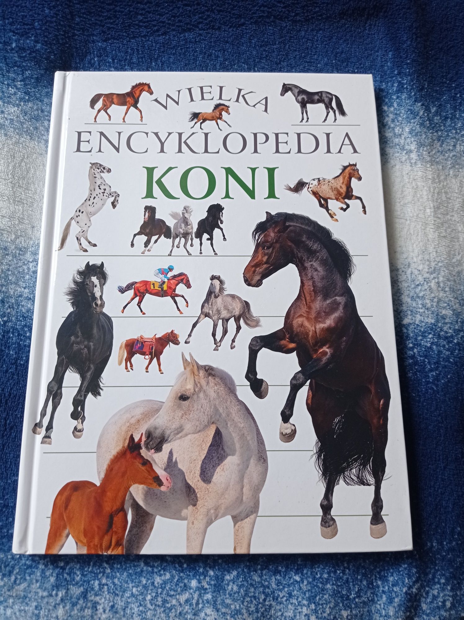 Wielka encyklopedia koni