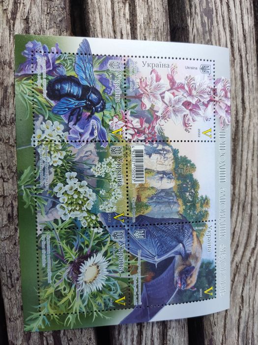 Буква V. Блок. Медобори. Природный заповедник медоборы. 2022