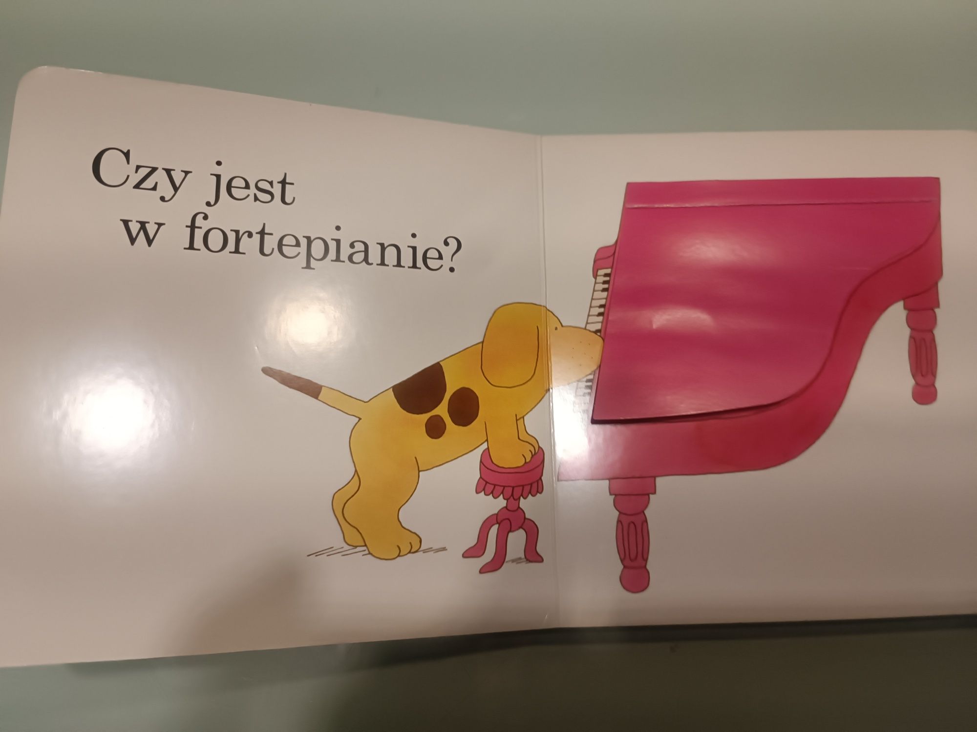 Gdzie jest Spot?  Zestaw