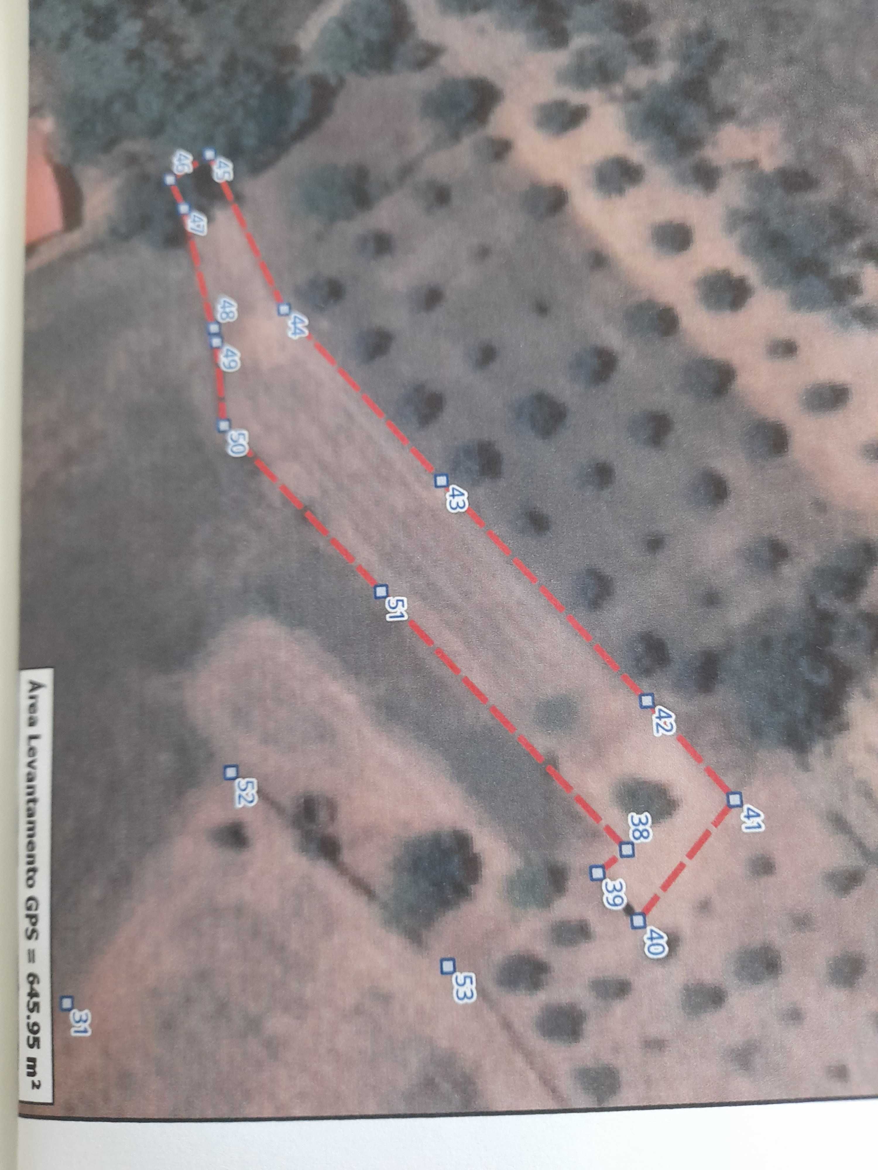 Terreno apenas agrícola. Com 645,95 m2 medido a   GPS.   com  estrada.