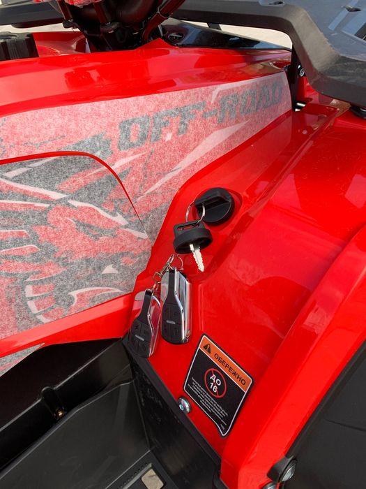 2025 АКЦІЯ Електро Квадроцикл FORTE FFP1500 електричний квадроцикл