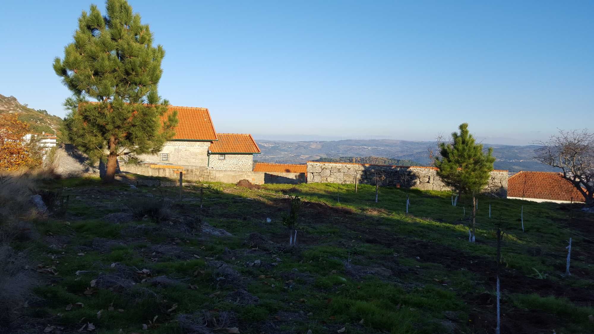 Terreno Urbano + Rústico, em Melcões, Lamego!