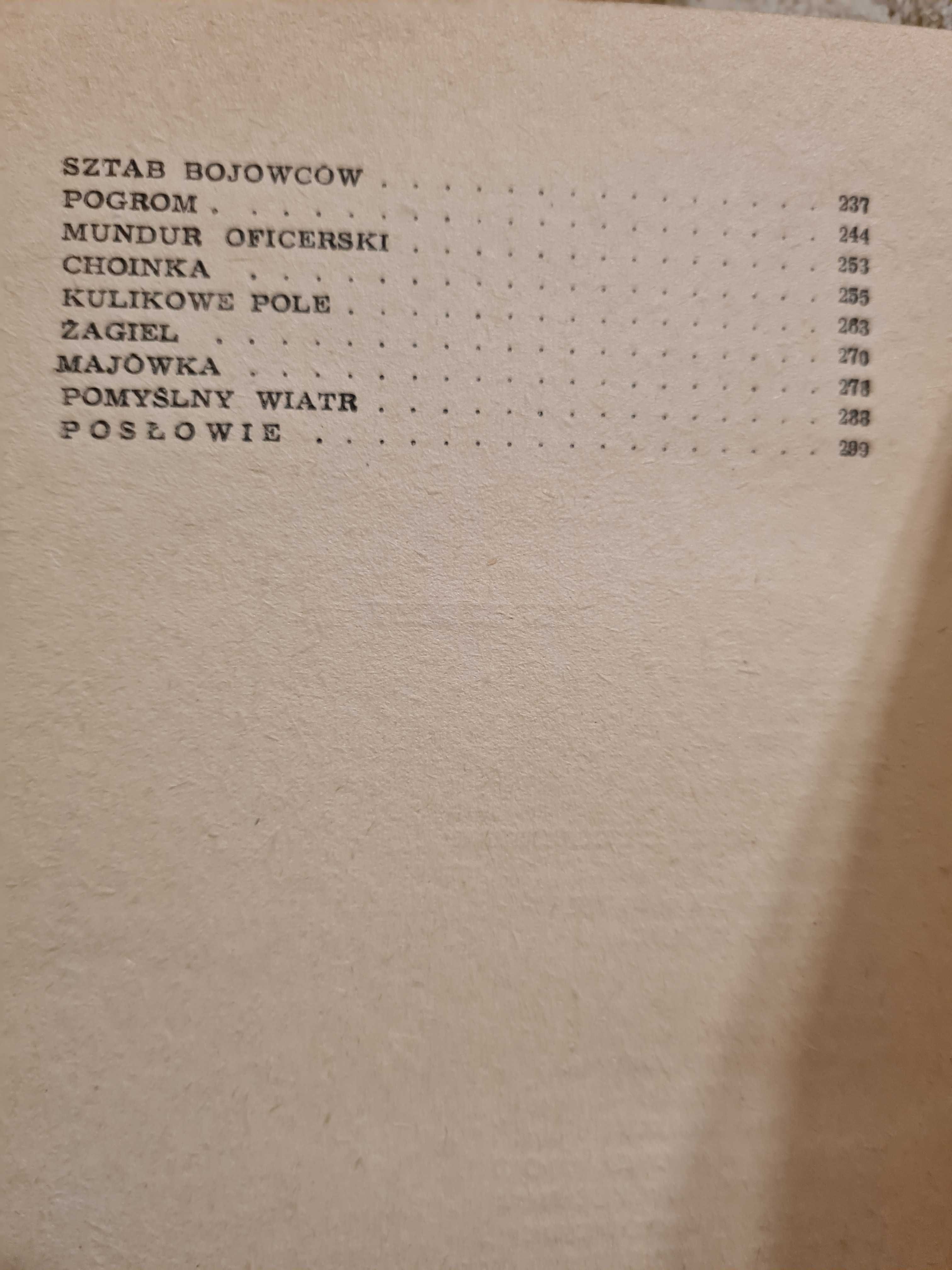 Samotny biały żagiel W. Katajew