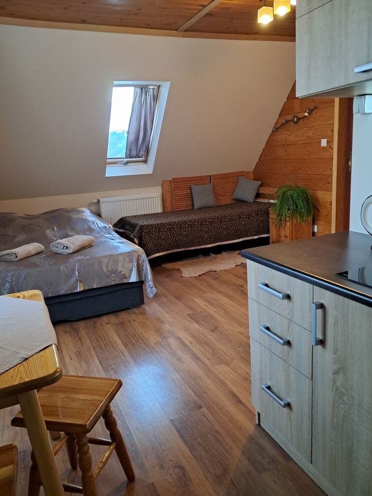 Apartament typu Studio Noclegi Ząb/k. Zakopane