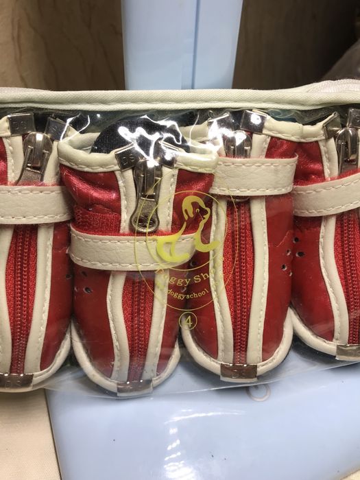 Взуття для собачки