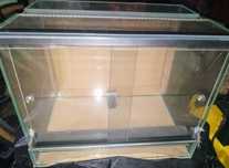 Terrarium Nowe Szklane