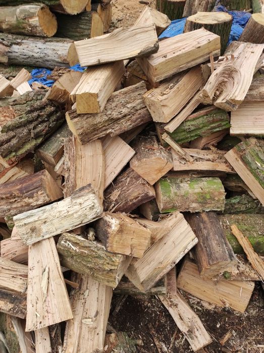 Drewno kominkowe