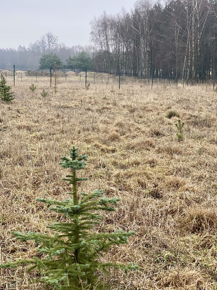 Sprzedam działkę budowlaną