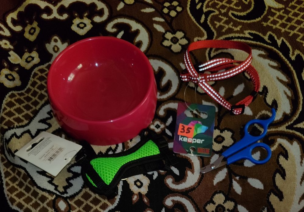 Лотом для маленьких пород собак