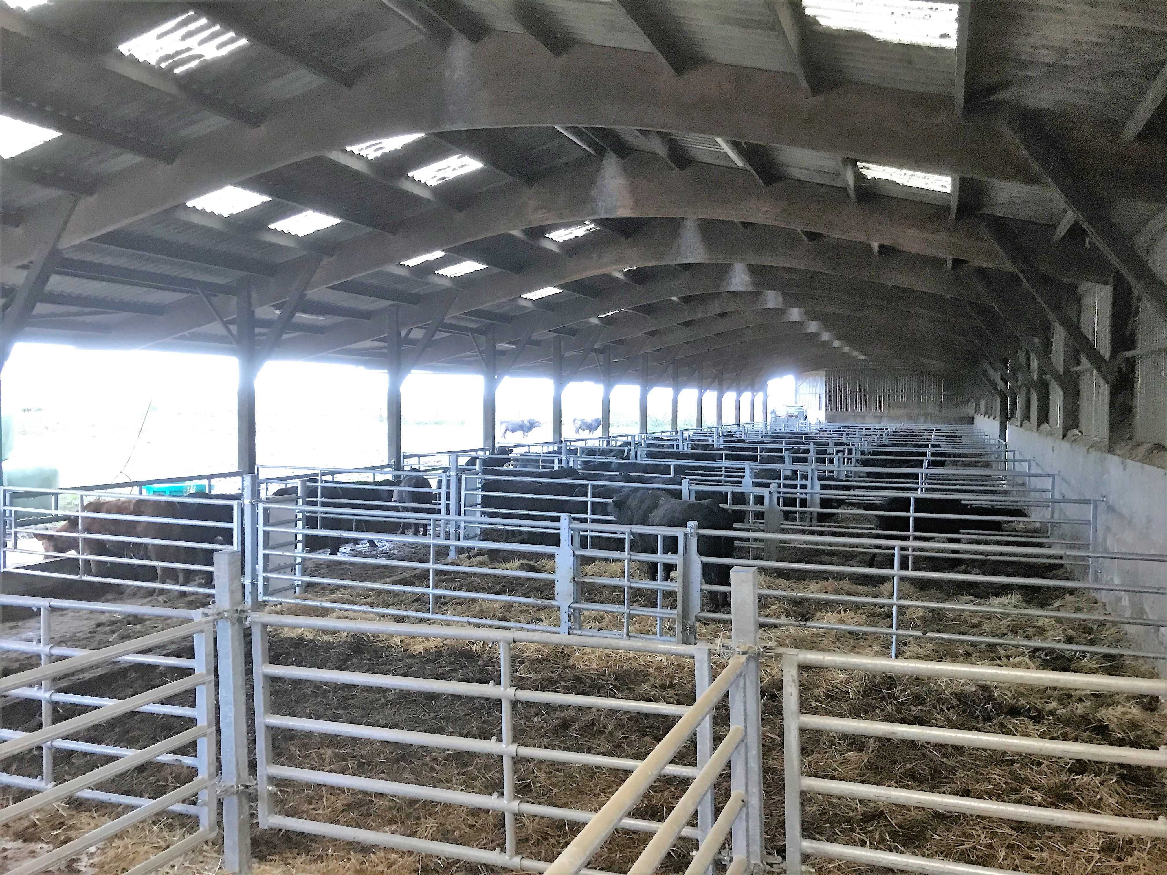 AGRITUBEL panel bramka do obory dla krów bydła