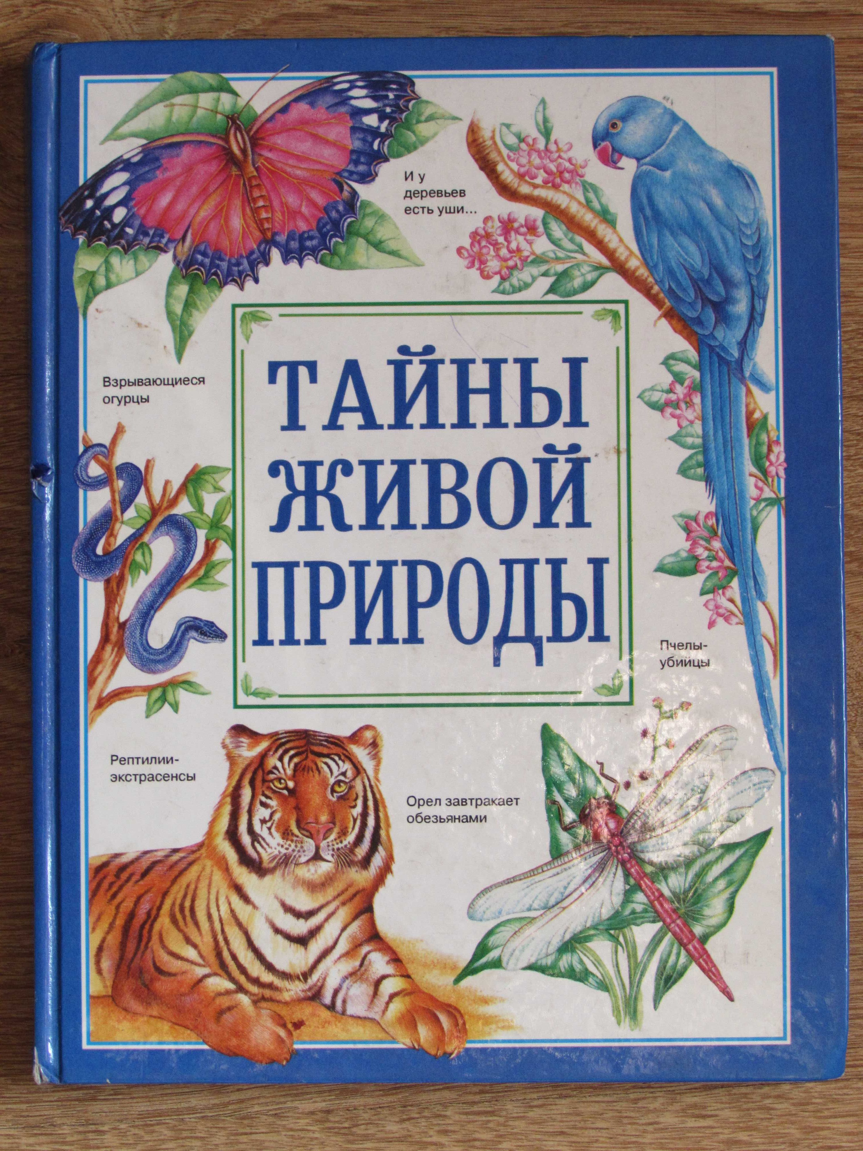 Дитячі енциклопедії книжки