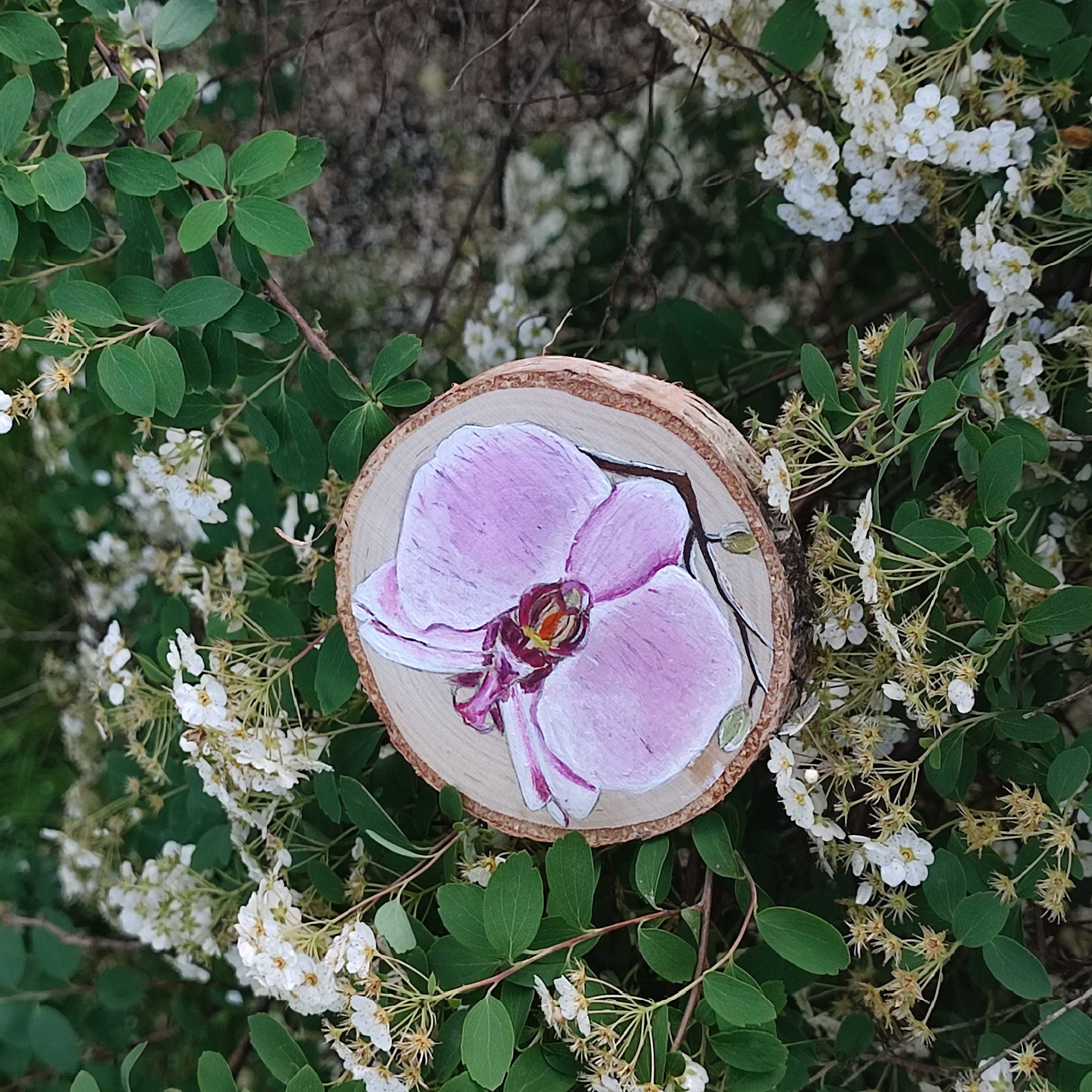Magnes na lodówkę orchidea