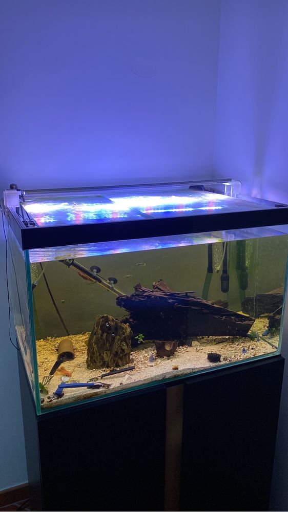 Aquario 200 litros completo com tampa
